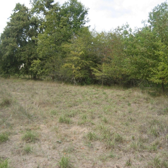  GERBEAUD IMMOBILIER : Terrain | NOAILLAN (33730) | 0 m2 | 14 000 € 