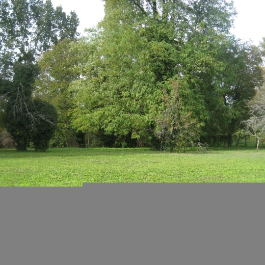 GERBEAUD IMMOBILIER : Terrain | BARSAC (33720) | m2 | 107 000 € 