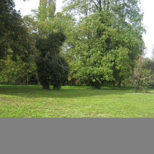  GERBEAUD IMMOBILIER : Terrain | BARSAC (33720) | 0 m2 | 107 000 € 