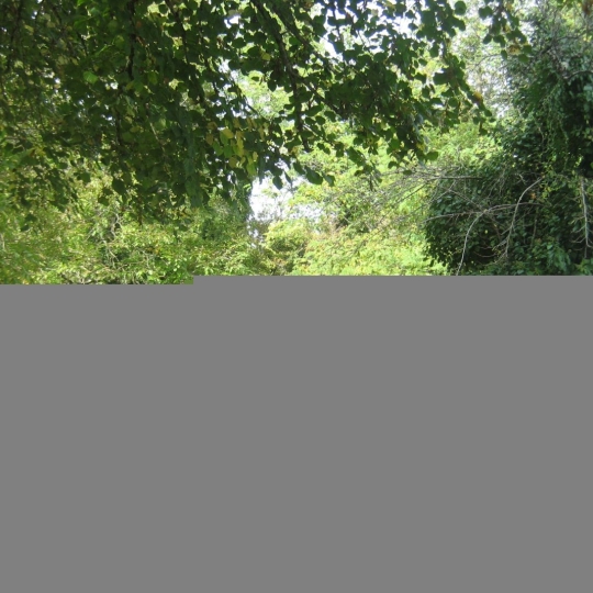  GERBEAUD IMMOBILIER : Terrain | BARSAC (33720) | 0 m2 | 107 000 € 