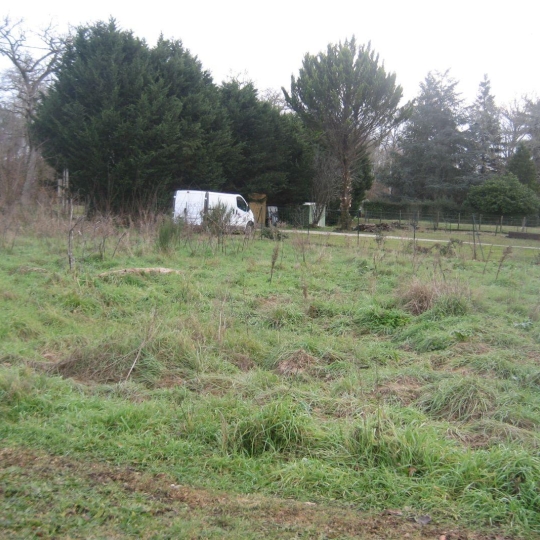 GERBEAUD IMMOBILIER : Terrain | VILLANDRAUT (33730) | m2 | 75 000 € 