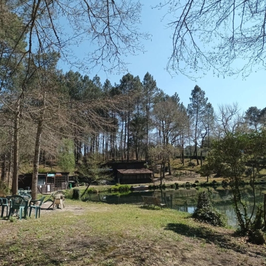  GERBEAUD IMMOBILIER : Domaines / Propriétés | VILLANDRAUT (33730) | 81 m2 | 416 000 € 