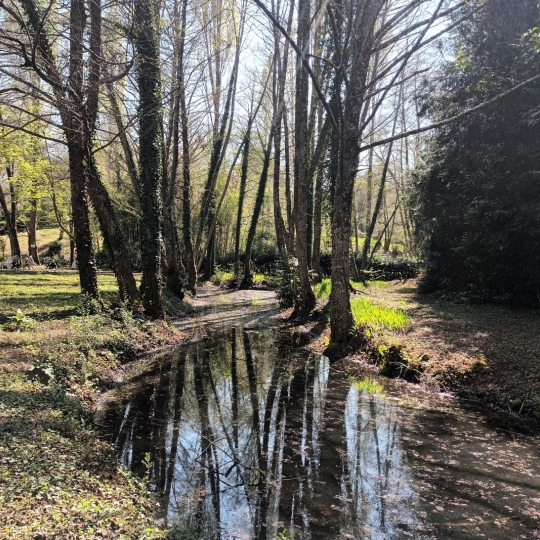 GERBEAUD IMMOBILIER : Domaines / Propriétés | VILLANDRAUT (33730) | 81 m2 | 416 000 € 