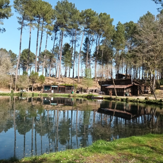  GERBEAUD IMMOBILIER : Domaines / Propriétés | VILLANDRAUT (33730) | 81 m2 | 416 000 € 