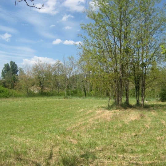  GERBEAUD IMMOBILIER : Ground | NOAILLAN (33730) | 0 m2 | 0 € 