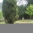  GERBEAUD IMMOBILIER : Maison / Villa | BAZAS (33430) | 120 m2 | 140 000 € 