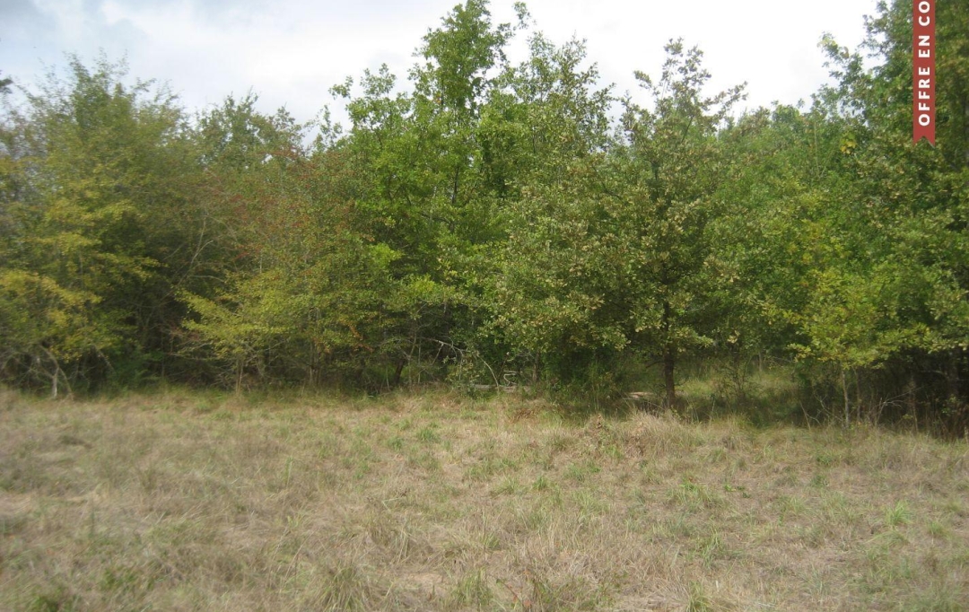 GERBEAUD IMMOBILIER : Terrain | NOAILLAN (33730) | 0 m2 | 14 000 € 