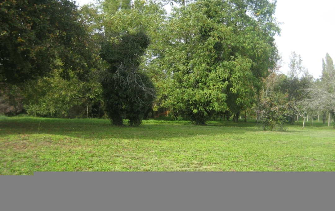 GERBEAUD IMMOBILIER : Terrain | BARSAC (33720) | 0 m2 | 107 000 € 