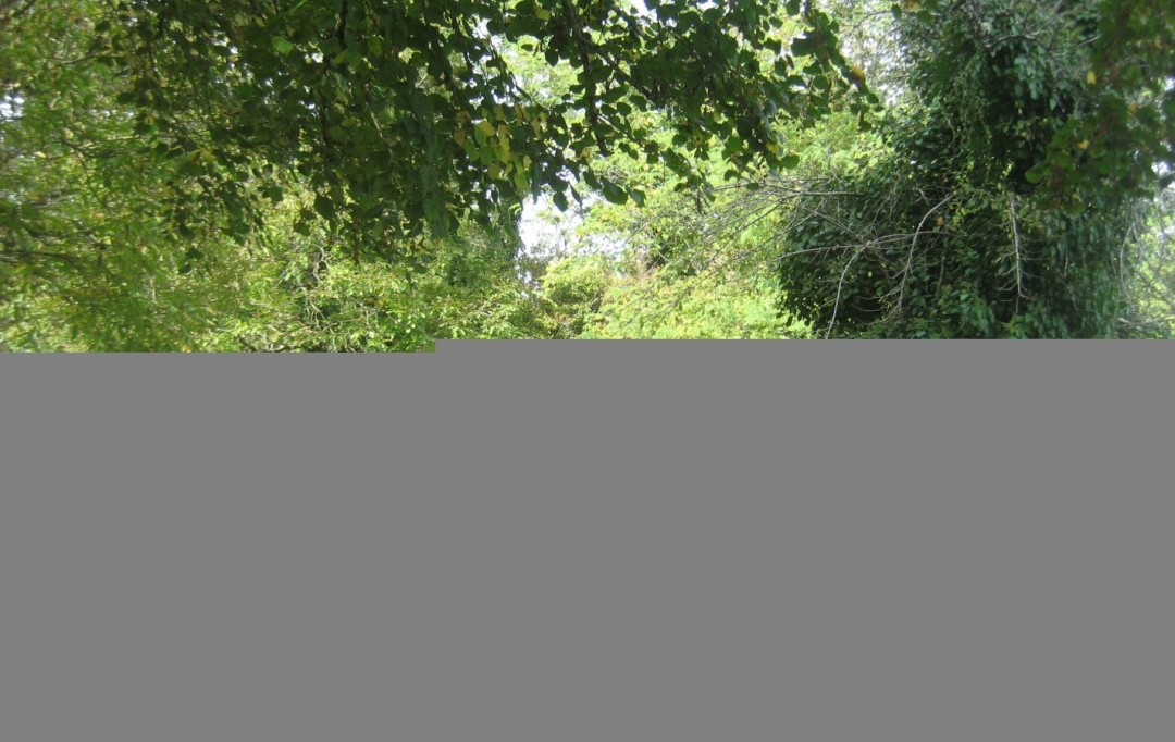 GERBEAUD IMMOBILIER : Terrain | BARSAC (33720) | 0 m2 | 107 000 € 