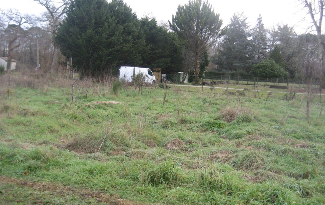 GERBEAUD IMMOBILIER : Terrain | VILLANDRAUT (33730) | 0 m2 | 75 000 € 