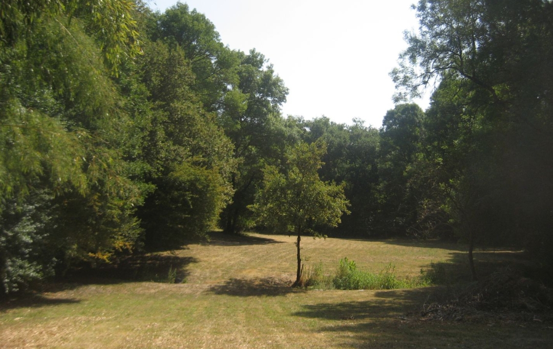 GERBEAUD IMMOBILIER : Maison / Villa | NOAILLAN (33730) | 122 m2 | 322 000 € 