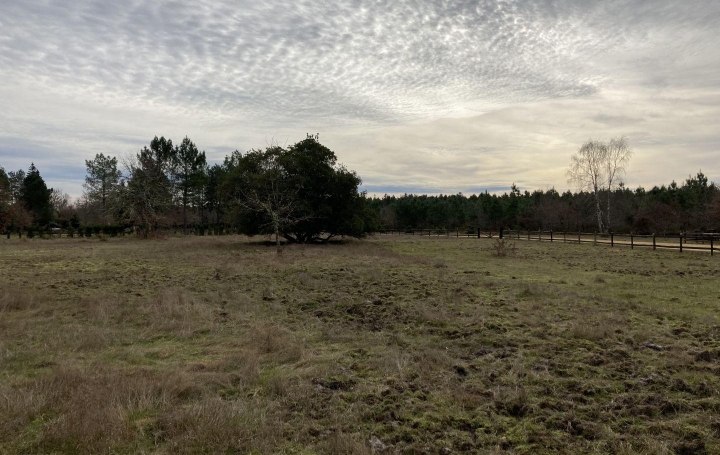 GERBEAUD IMMOBILIER : Terrain | SORE (40430) | 78 m2 | 124 200 € 