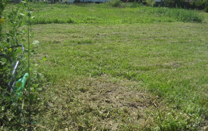  GERBEAUD IMMOBILIER Terrain | VILLANDRAUT (33730) | 0 m2 | 76 000 € 