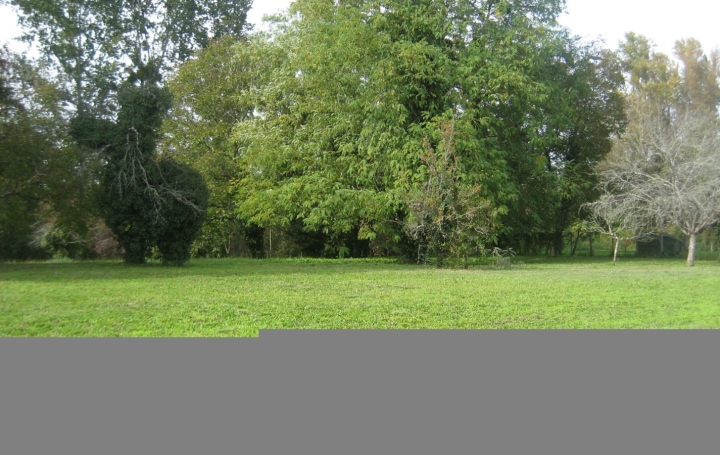 Terrain BARSAC 107 000 € Terrain BARSAC 107 000 €