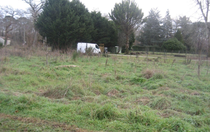 Terrain VILLANDRAUT 75 000 € Terrain VILLANDRAUT 75 000 €