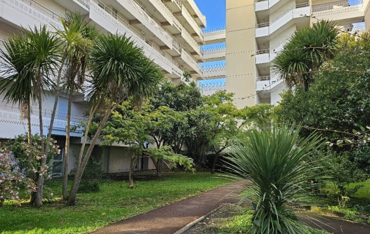 GERBEAUD IMMOBILIER Appartement | ARCACHON (33120) | 48 m2 | 249 500 € 