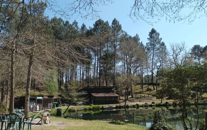 Propriété VILLANDRAUT 81 m2 416 000 € Propriété VILLANDRAUT 81 m2 416 000 €